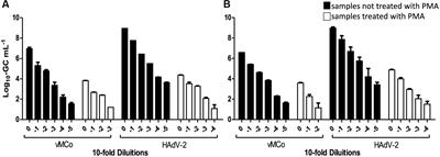 Propidium Monoazide Integrated with qPCR Enables the Detection and Enumeration of Infectious Enteric RNA and DNA Viruses in Clam and Fermented Sausages